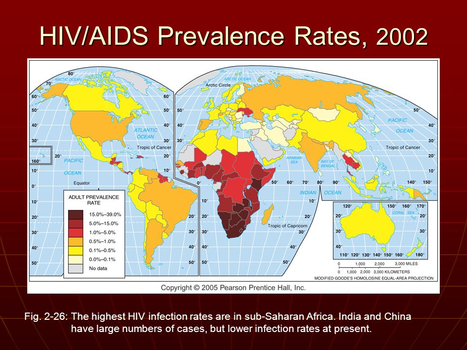 HIV and AIDS in Sub-Saharan Africa - Essay Example